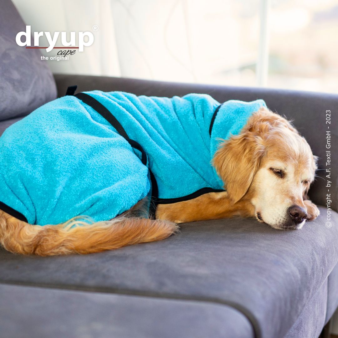 Dryup cape - Cyan
